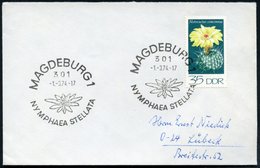 1974 301 MAGDEBURG 1, Sonderstempel: NYMPHAEA STELLATA (Kaktusblüte) Auf EF 3 Pf. Notocactus Concinnus, BRD-Brief (Mi.19 - Other & Unclassified