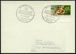 1985 (16.7.) 5413 BENDORF, RHEIN 2, Sonderstempel: PFADFINDERLAGER BREXBACHTHAL (Lilie) EF 60 Pf. "30. Weltpfadfinderkon - Sonstige & Ohne Zuordnung