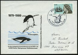 1989 (11.9.) 1500 POTSDAM 1, Sonderstempel: Antarktisforschung Der DDR (südlicher See-Elefant) Inl.-Sonderumschlag: Ping - Andere & Zonder Classificatie