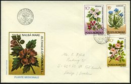 1993 (30.3.) RUMÄNIEN, Heilpflanzen, Kompl. Satz + ET-Sonderstempel: BUCURESTI, 2 Ausl.-FDC-Sonderumschläged Mit Akupunk - Autres & Non Classés