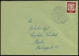 1961 (6.12.) (16) EPPSTEIN (TAUNUS), Hand-Werbestempel: Luftkurort, Kneipp-Sanatorium (Burgruine) Bedarfsbrief (Bo.3) -  - Sonstige & Ohne Zuordnung