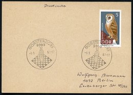 1967 9393 BORSTENDORF, Hand-Werbestempel Ohne Text = König Auf Schachbrett, Inl.-Karte (Bo.3 Ty.II Mit PLZ) - Schach / C - Other & Unclassified