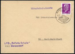 1971 (12.10.) 9393 BORSTENDORF, Hand-Werbestempel Ohne Text = König Auf Schachbrett + Abs.-Stempel: LPG "Befreite Scholl - Altri & Non Classificati