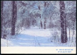 1971 UdSSR, 3 Kop. Bild-Ganzsache Komsomolzen, Grün: Loipe In Wald-Schneelandschaft, Bedarfskarte - Skilanglauf / Long D - Autres & Non Classés