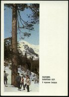 1968 UdSSR, 3 Kop. Bild-Ganzsache, Komsomolzen, Grün: Wanderer Im Karbadino-Balkarien Am Fuß Des Elbrus, Ungebr. - Wande - Sonstige & Ohne Zuordnung