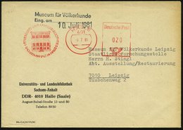 1981 (8.7.) 401 HALLE, Abesender-Freistempel: UNIVERSITÄTS- U. LANDESBIBLIOTHEK.. , Dienst-Vordruckbrief + Eingangsstemp - Other & Unclassified