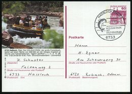 1980 (1.9.) 6733 HASSLOCH, PFALZ, Hand-Werbestempel: HOLIDAY-PARK MIT DELPHINARIUM (Delphin) Auf Passender Bild-Ganzsach - Other & Unclassified