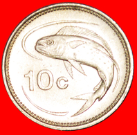 √ FISH (1991-2007): MALTA ★ 10 CENTS 1995! LOW START ★ NO RESERVE! - Malta