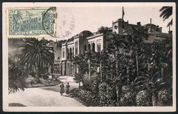 170 ALGERIA: Old Maximum Card: Summer Palace In Algiers, VF Quality - Maximumkarten