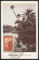 187 ALGERIA: COLOMB-BECHAR: A Wadi, Palm Trees, Maximum Card Of 26/MAY/1954, With Special Pmk, VF Quality - Cartoline Maximum