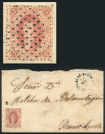 246 ARGENTINA: GJ.19, Fantastic And Striking Example Of 1st Printing, VERY CLEAR Impression And With Complete Perforatio - Nuovi