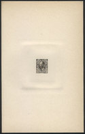 329 ARGENTINA: Year 1889, Sudamericana Issue, Die Proof Of An UNISSUED Value Of 20c. Roca In Grayish Black, 13 X 20.50 C - Autres & Non Classés