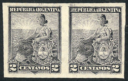 351 ARGENTINA: GJ.219P. 2c. Liberty, Imperforate Pair, MNH, VF Quality! - Other & Unclassified