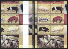 479 ARGENTINA: GJ.232, 2011 Pigs, With Spectacular DIECUT ERROR (along A Normal Sheet For Comparison), MNH, Excellent Qu - Blocchi & Foglietti