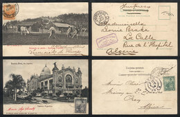 704 ARGENTINA: 2 Old Postcards With Views Of The Argentine Pavilion In Buenos Aires And ""lassoing A Horse"" Rural Scene - Argentina