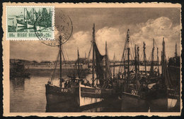 775 BELGIUM: Topic Fishing BOATS, Fishermen, Maximum Card Of OC/1953, VF Quality - Other & Unclassified