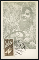 897 BRAZIL: Topic Agriculture, Wheat, Maximum Card Of AU/1954, With Special Postmark 'Festa Nacional Do Trigo - Carazinh - Maximumkarten