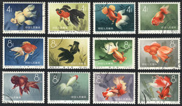 1072 CHINA: Sc.506/517, 1960 Fish, Cmpl. Set Of 12 Used Values, VF Quality! - Autres & Non Classés