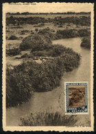 1118 BELGIAN CONGO: Maximum Card Of OC/1938: Albert National Park, Rutshuru River, VF - Altri & Non Classificati
