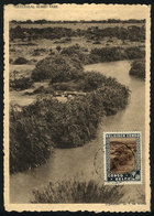 1118 BELGIAN CONGO: Maximum Card Of OC/1938: Albert National Park, Rutshuru River, VF - Andere & Zonder Classificatie