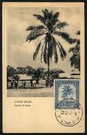 1119 BELGIAN CONGO: Maximum Card Of DE/1951: Palm Trees, Market, With Minor Defects At Top (due To Humidity) - Sonstige & Ohne Zuordnung