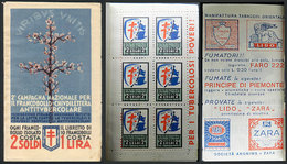 1495 ITALY: Booklet With 10 Cinderellas Of The 1931 Campaign Against Tuberculosis, With Several Pages With Interesting A - Unclassified