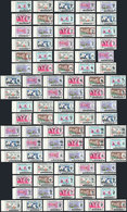 1541 MALAYSIA: Year 1965, Orchids, The Complete Set Of All The States, 13 Sets Of 7 Values Each, Unmounted, Excellent Qu - Malesia (1964-...)