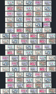 1541 MALAYSIA: Year 1965, Orchids, The Complete Set Of All The States, 13 Sets Of 7 Values Each, Unmounted, Excellent Qu - Maleisië (1964-...)