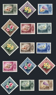 1553 MALDIVES: Sc.172/186, 1966 Birds, Flowers And Sea Shells, Complete Set Of 15 Unmounted Values, Excellent Quality, C - Malediven (...-1965)