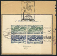 1711 POLAND: Sc.B29, 1938 Warsaw Stamp Expo (horses, Carriage), Imperforate Souvenir Sheet, Used On Large Fragment Of An - Sonstige & Ohne Zuordnung