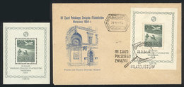 1717 POLAND: Sc.C34, 1954 Philatelic Congress, One MNH Souvenir Sheet And One On Cover With First Day Postmark, Excellen - Other & Unclassified