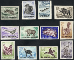 1788 ROMANIA: Yvert 1488/99, 1956 Animals, Complete Set Of 12 Imperforate Values, VF Quality, Catalog Value Euros 80. - Autres & Non Classés