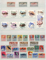 1864 WORLDWIDE: BIRDS: Small Accumulation In Stockbook With Good Stamps And Sets, Almost All MNH And Of Very Fine Qualit - Sonstige & Ohne Zuordnung