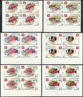 1941 YEMEN: Yvert 64, 1967 Fish, Complete Set Of 6 Values In IMPERFORATE BLOCKS OF 4, Unmounted, Excellent Quality! - Yémen