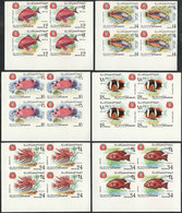 1941 YEMEN: Yvert 64, 1967 Fish, Complete Set Of 6 Values In IMPERFORATE BLOCKS OF 4, Unmounted, Excellent Quality! - Yemen