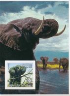 Mint S/S Imperforate Fauna Elephants   Boy Scouts 2002 From Guinea - Elephants