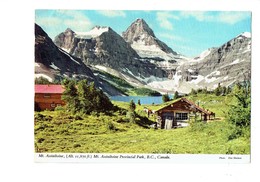 Cpsm - CANADA MOUNT ASSINIBOINE - Cheval - Moderne Ansichtskarten