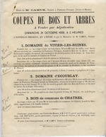 77 FONTENAY-TRÉSIGNY - VENTE Aux ENCHÈRES Au VIVIER - Les Ruines, Bois Et Arbres - 31 Octobre 1909 Par Me CAMUS - Fontenay Tresigny