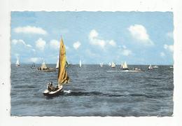 Cp , Sports ,VOILE , 17 , RONCE LES BAINS , Régates Devant Le Front De Mer , Voyagée 1965, Ed. Berjaud - Voile