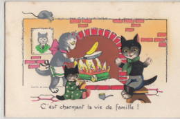 CHATS NOIRS HUMANISES      CHATS DECOUPES  ET COLLES - Chats