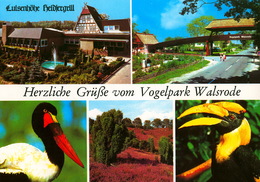 Vogelpark Walsrode (Bird Park), Germany - Entrance, Stork, Hornbill - Walsrode