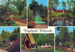 Vogelpark Walsrode (Bird Park), Germany - Flamingo, Crane, Swan, Fountain, Plant, Aviaries - Walsrode