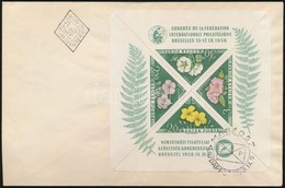 1958 FIP Blokk FDC - Altri & Non Classificati