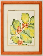 Benczúr Jelzéssel: Bogyós Növény. Akvarell, Papír, üvegezett Keretben, 16×12 Cm - Altri & Non Classificati