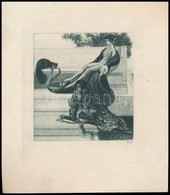 Franz Von Bayros (1866-1924): Erotikus Ex Libris. Heliogravúr, Papír, Jelzés Nélkül, 12×9 Cm. - Altri & Non Classificati