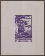 Nikelszky Géza (1877-1966): Ex Libris Hajdu Gyula. Klisé, Papír, Jelzett A Klisén, 7×4,5 Cm - Other & Unclassified