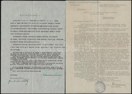 1931-1942 Az Ungvölgyi Vadásztársaság (Bercsényifalva) 3 érdekes Okmánya - Non Classés