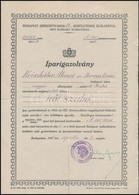1936 Bp., Iparigazolvány N?i Szabó Részére - Non Classificati
