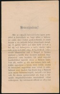 Cca 1895 Széchényi Ödön, A Balatoni Halászati Társulat Elnökének Memoranduma A Balatonért. 14p. - Altri & Non Classificati