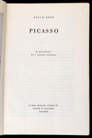 Kállai Ern?: Picasso. Bp.,1948,Új Id?k Irodalmi Intézet Rt.(Singer és Wolfner),(Hungária-ny.), 86 P.+LXXX T. Kiadói Félv - Non Classificati